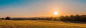Bornage et limites de propriété : comment régler un litige foncier ?